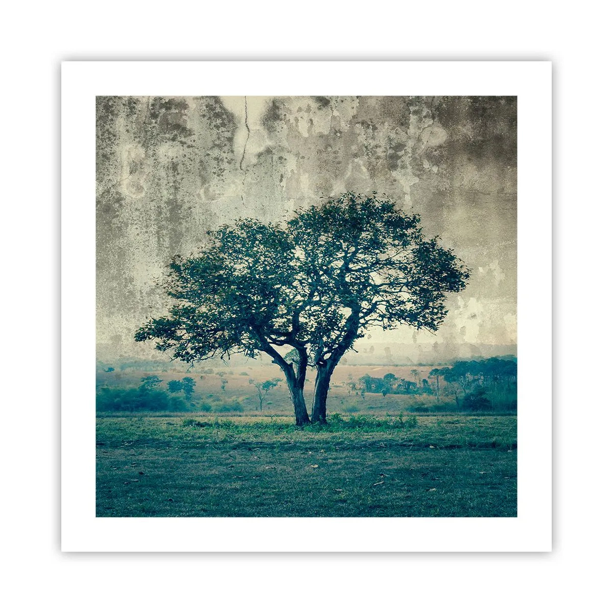 Poster - Un măr pe o pajiște albastră? - 50x50 cm