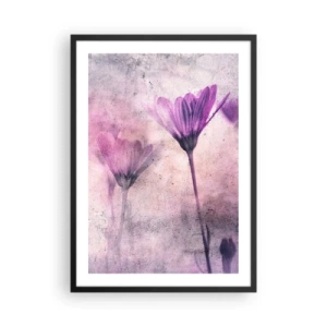 Poster în ramă neagră - Flori delicate în nuanțe de roz și violet pe un fundal deschis - 50x70cm - Un vis de flori - Decorațiune modernă pentru perete pentru living și dormitor ARTTOR