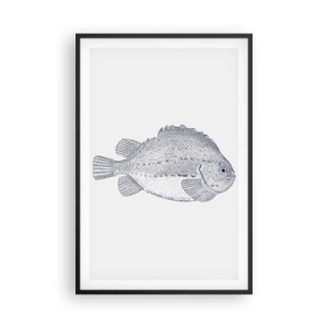 Poster în ramă neagră - Pentru albumul naturalistului - 61x91 cm