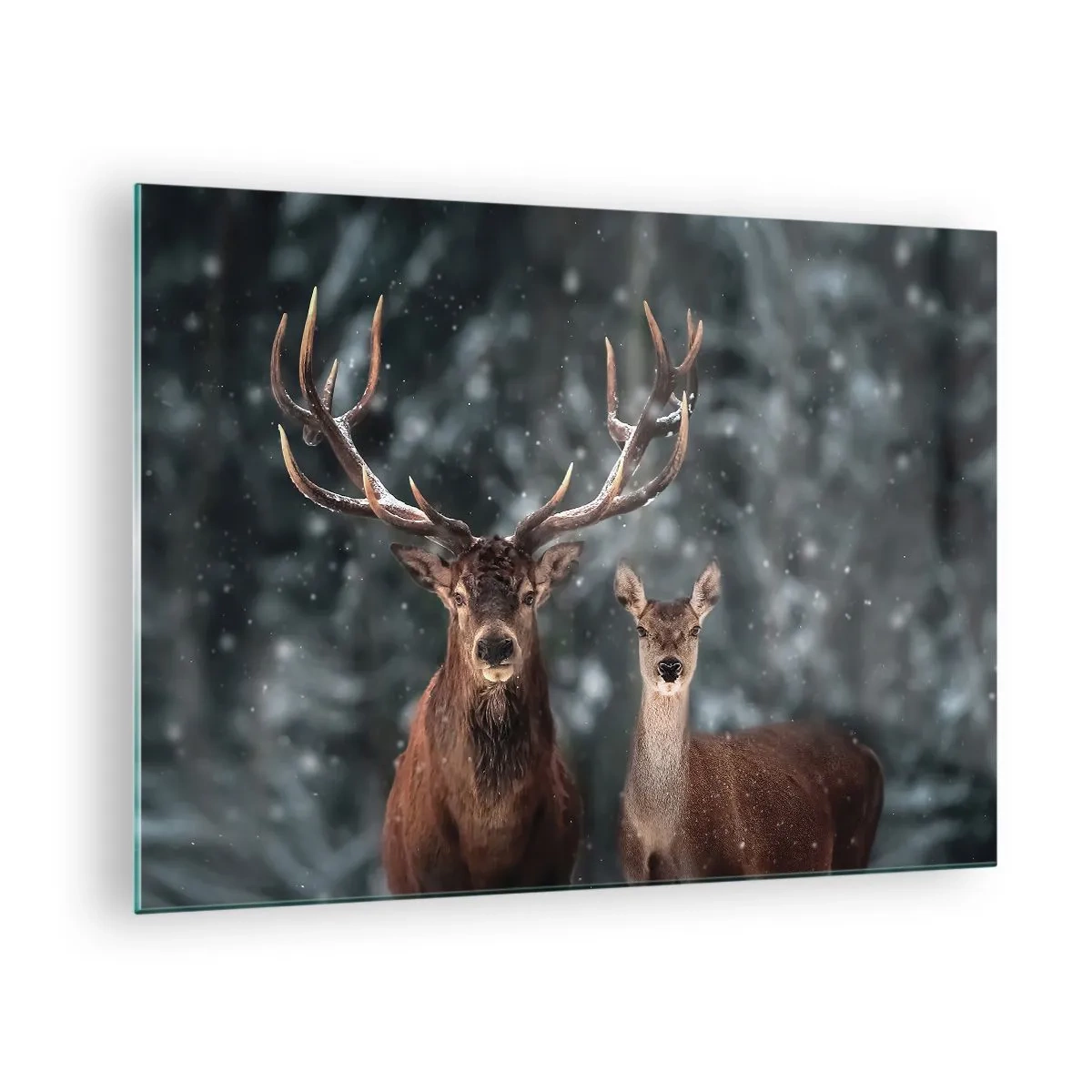 Tablou pe sticlă - Un cerb și o căprioară într-o pădure de iarnă acoperită de zăpadă - 70x50cm - Stăpânul pădurii și soția sa - Decorațiune modernă pentru perete pentru living și dormitor ARTTOR