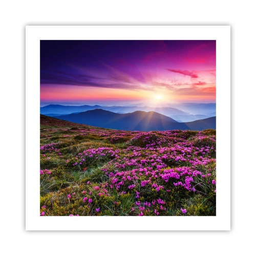 Poster - Ierburile proaspete miroseau puternic - 50x50 cm