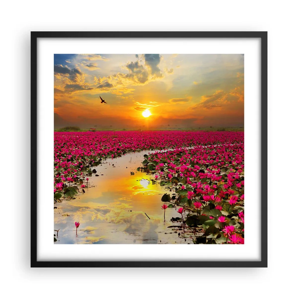 Poster în ramă neagră - Viața secretă a lacului - 50x50 cm