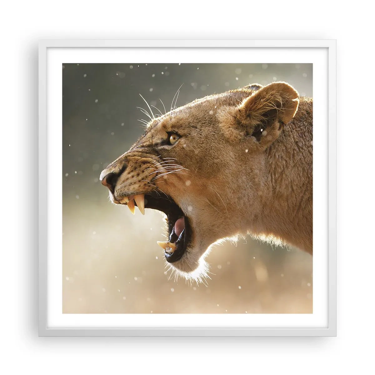 Poster în ramă albă - Încearcă să nu asculți - 60x60 cm