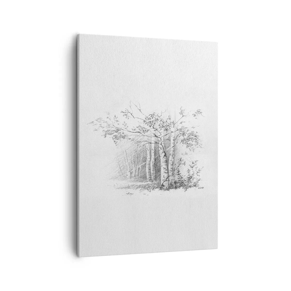 Tablou pe pânză - Lumina pădurii de mesteceni - 50x70 cm