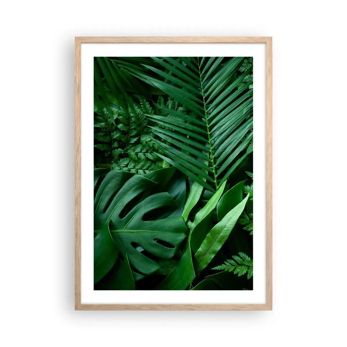 Poster în ramă de stejar deschis - Înfășurate în verde - 50x70 cm