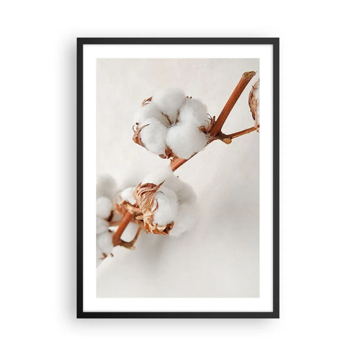 Poster în ramă neagră - Crenguțe delicate de bumbac pe un fundal deschis - 50x70cm - Numai îmbrățișări - Decorațiune modernă pentru perete pentru living și dormitor ARTTOR