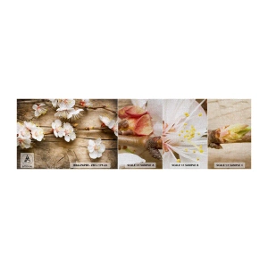 Mostră tapet Premium Canvas - Şi a fost primăvara - Flori, Crenguta Cu Flori, Natură - 100x30 cm