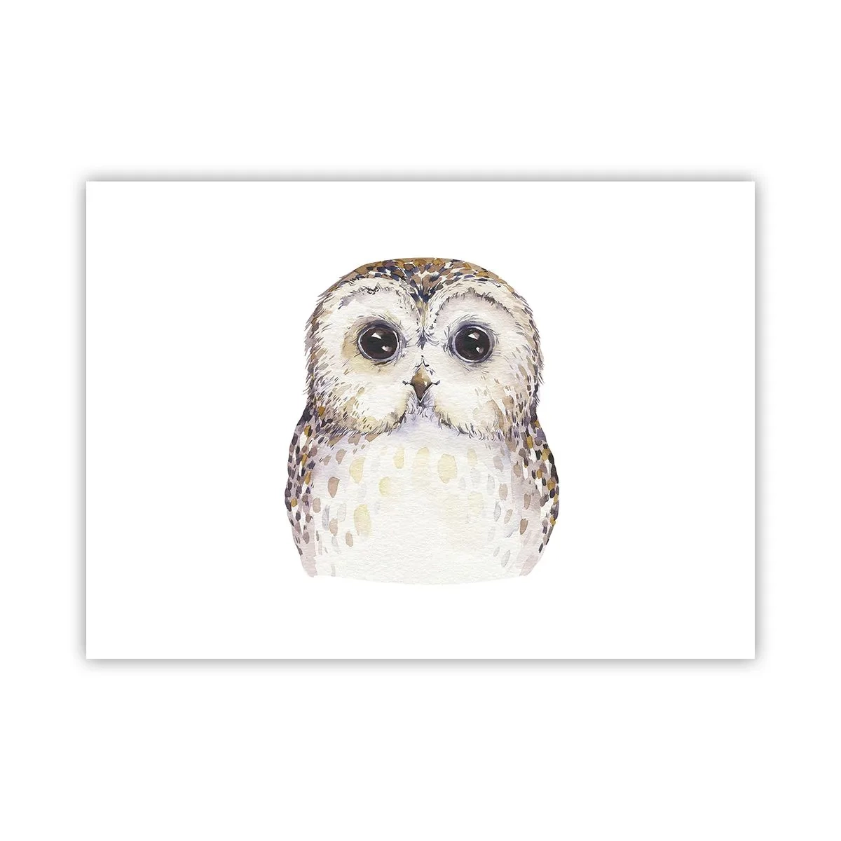 Poster - Uită-te în ochii mei - 70x50 cm