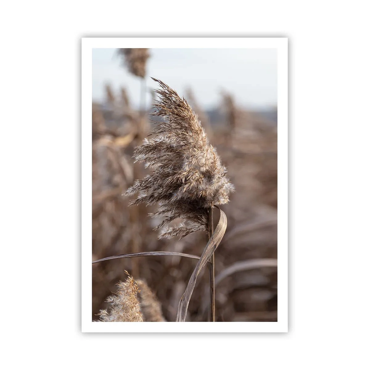 Poster - E timpul să zbori cu vântul - 70x100 cm