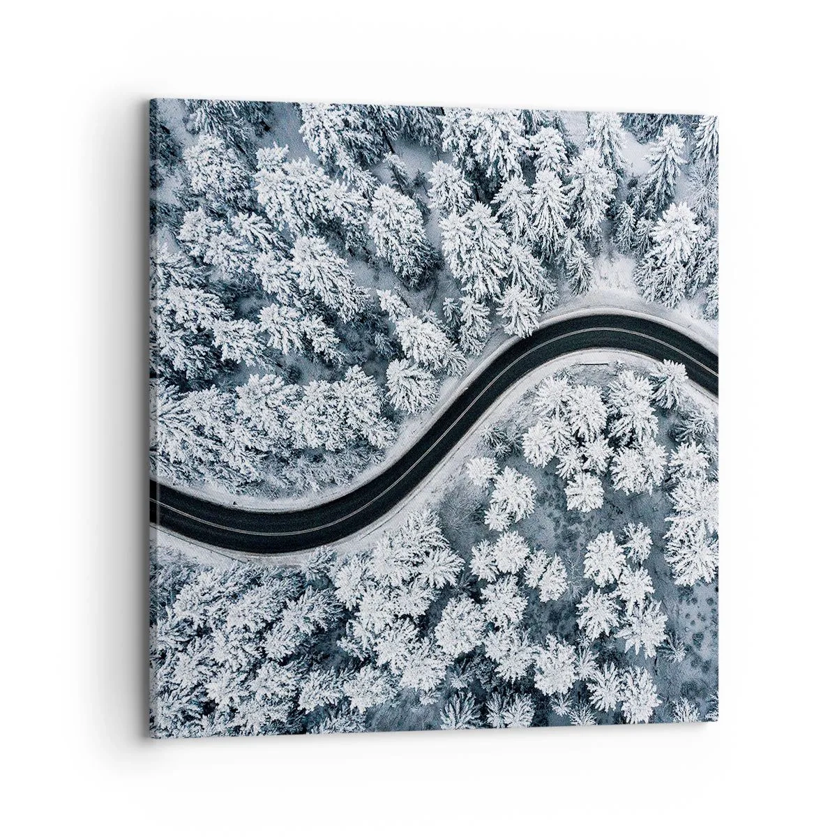 Tablou pe pânză - Prin pădurea de iarnă - 70x70 cm