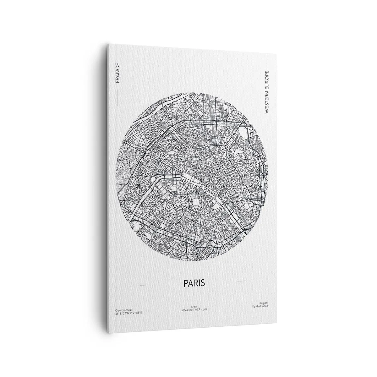 Tablou pe pânză - Anatomia Parisului - 80x120 cm