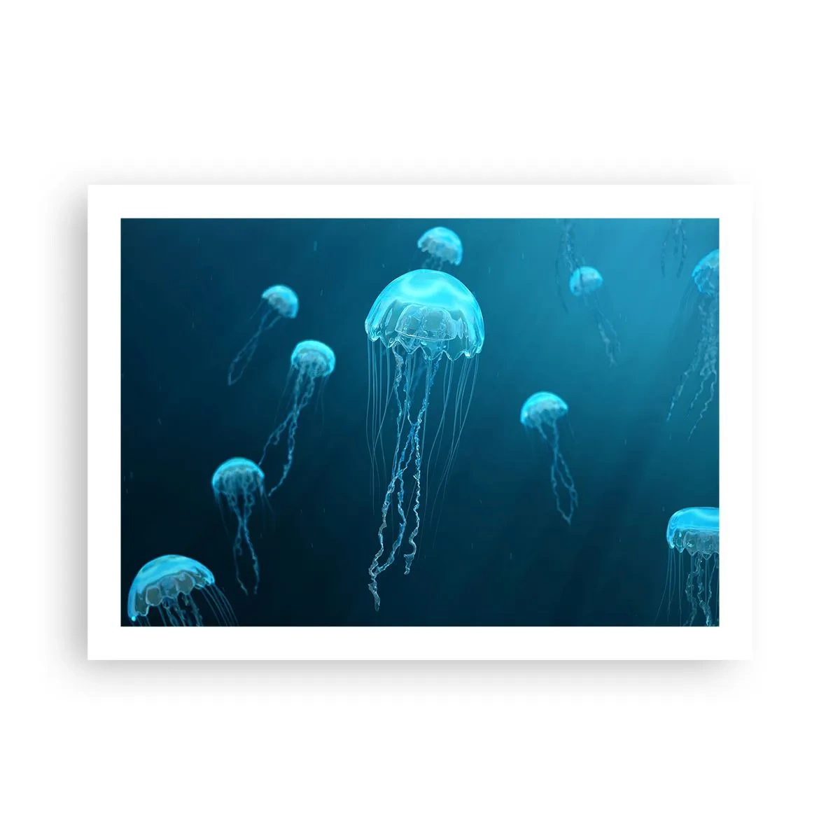 Poster - Dansul oceanic - 70x50 cm