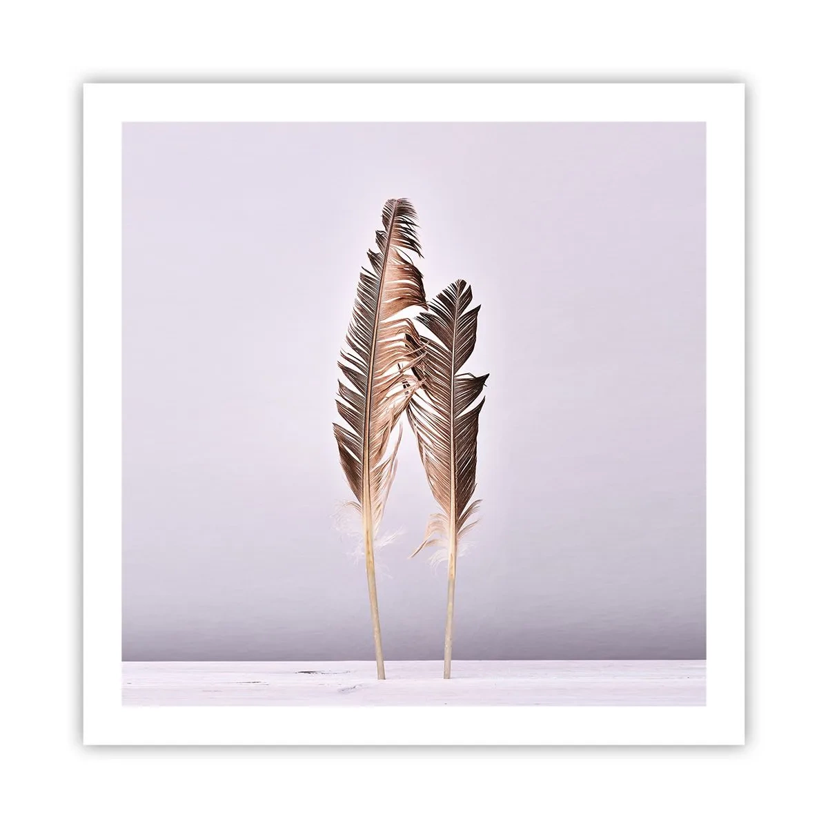 Poster - Împotriva neantului - 60x60 cm