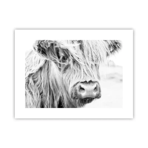 Poster - Sălbăticie scoțiană - 40x30 cm