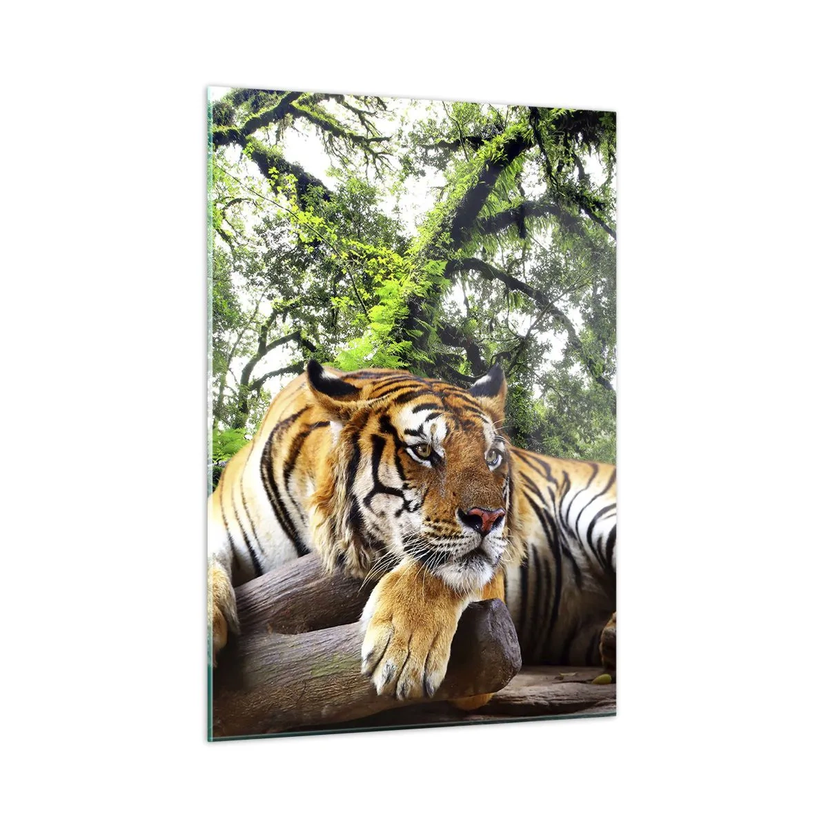 Tablou pe sticlă - Cu respect - 50x70 cm