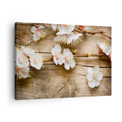 Tablou pe pânză Canvas - Ramuri de cireși înfloriți pe un fundal de placă de lemn - 70x50cm - Şi a fost primăvara - Decorațiune modernă pentru perete pentru living și dormitor ARTTOR
