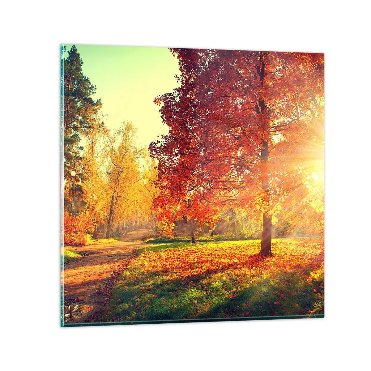 Tablou pe sticlă - Roșcatul este frumos - 70x70 cm