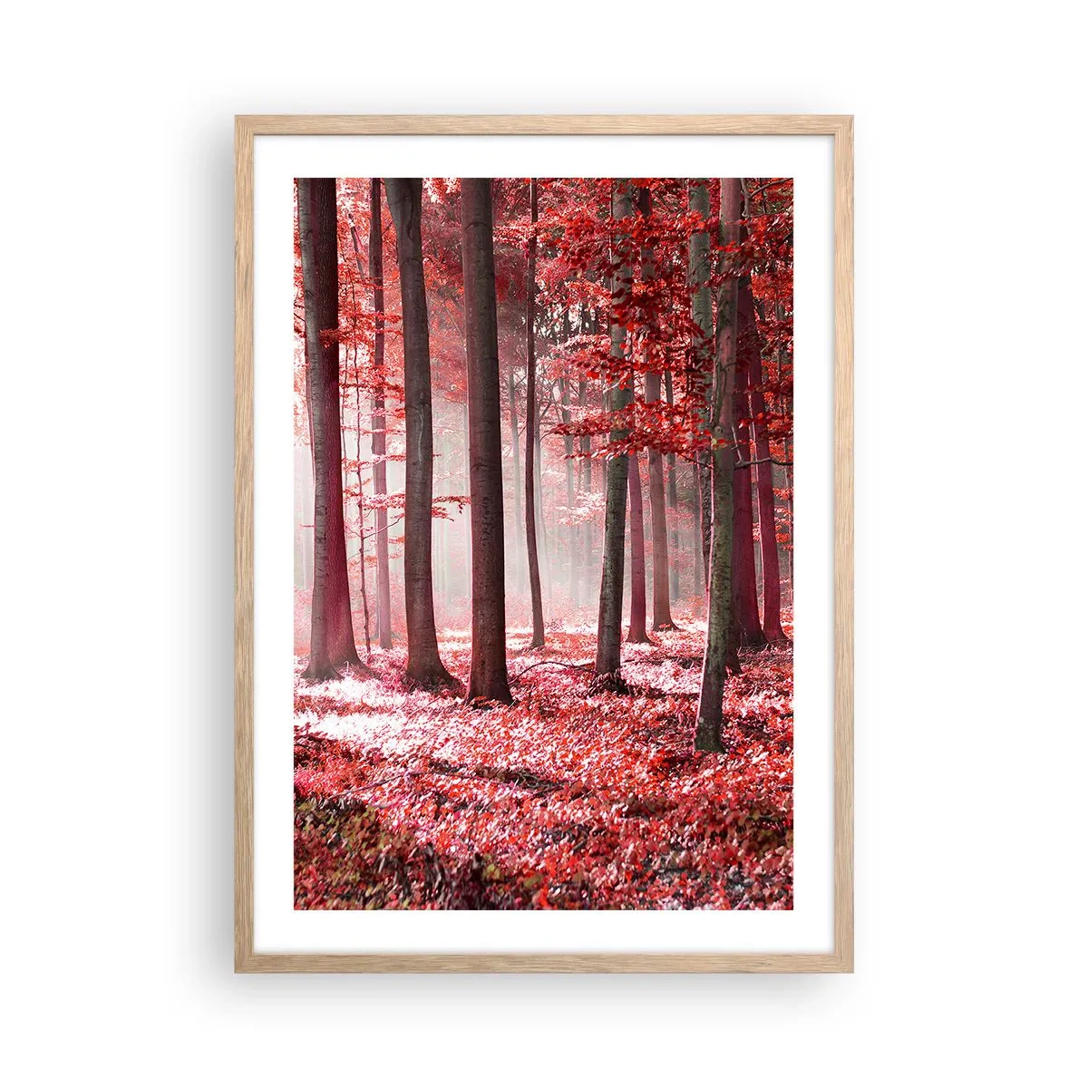 Poster în ramă de stejar deschis - Roșie este la fel de frumoasă - 50x70 cm