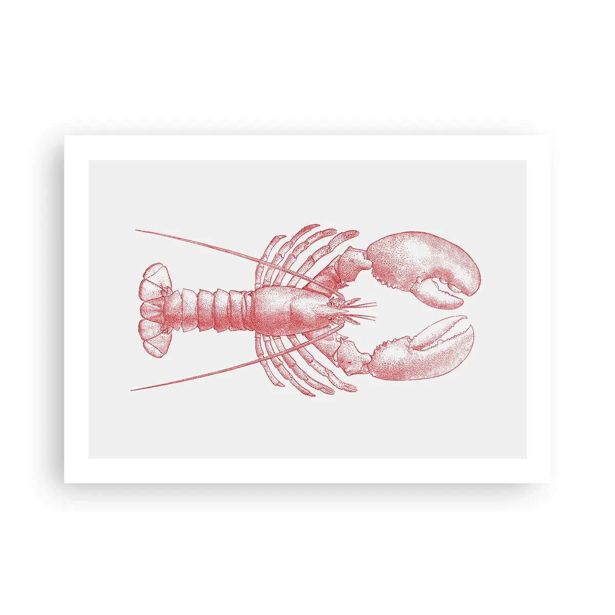 Poster - Homar demn de Homer - 70x50 cm
