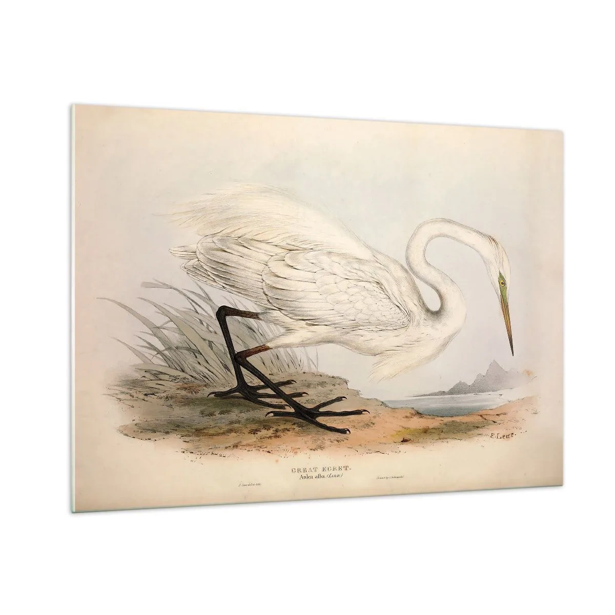 Tablou pe sticlă - Doamna în stufărișuri - 100x70 cm