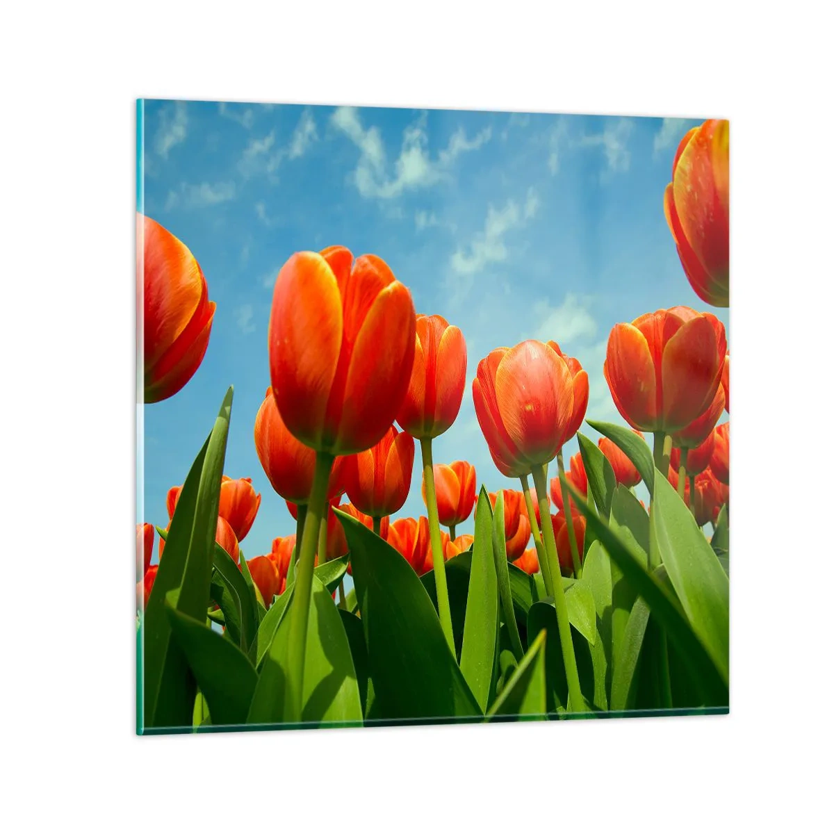 Tablou pe sticlă - Doar cerul albastru - 30x30 cm