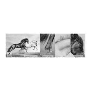 Mostră tapet Premium Sand - Îngeri și demoni - Animale, Cai, Natură - 100x30 cm