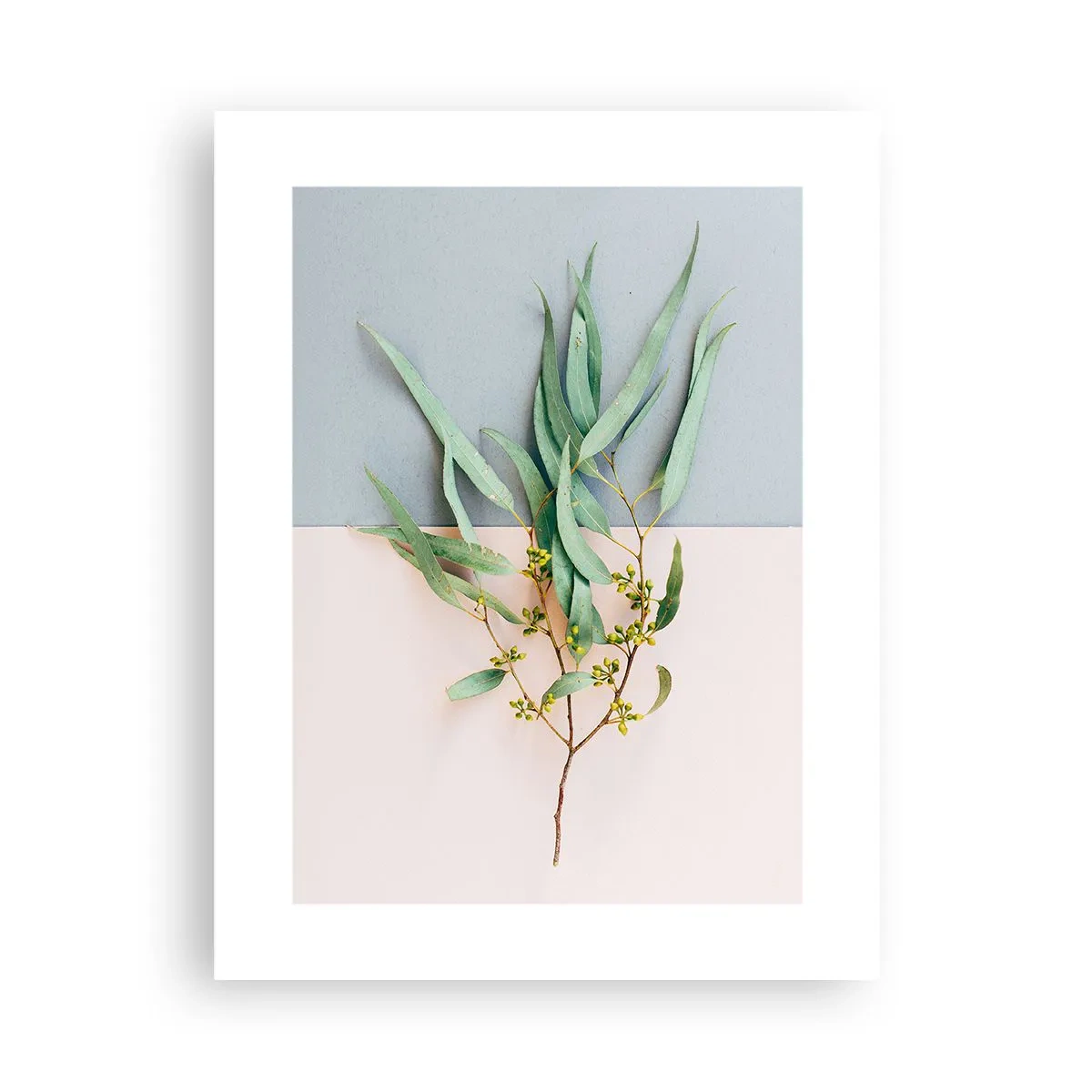 Poster - Subtilitate pastelată - 30x40 cm