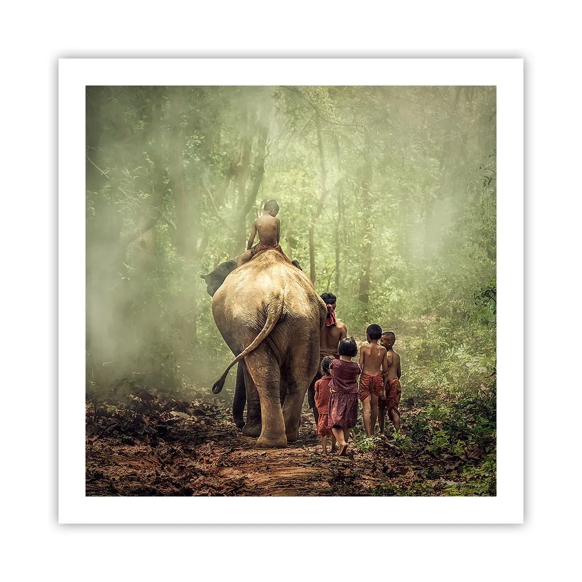 Poster - Noua Carte a Junglei - 60x60 cm