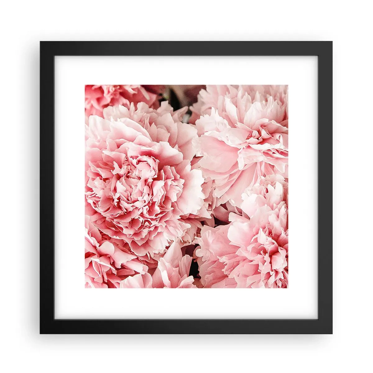 Poster în ramă neagră - Visul roz - 30x30 cm