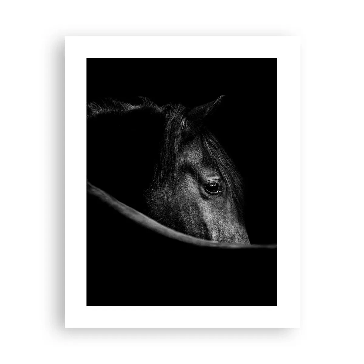 Poster - Prințul negru - 40x50 cm