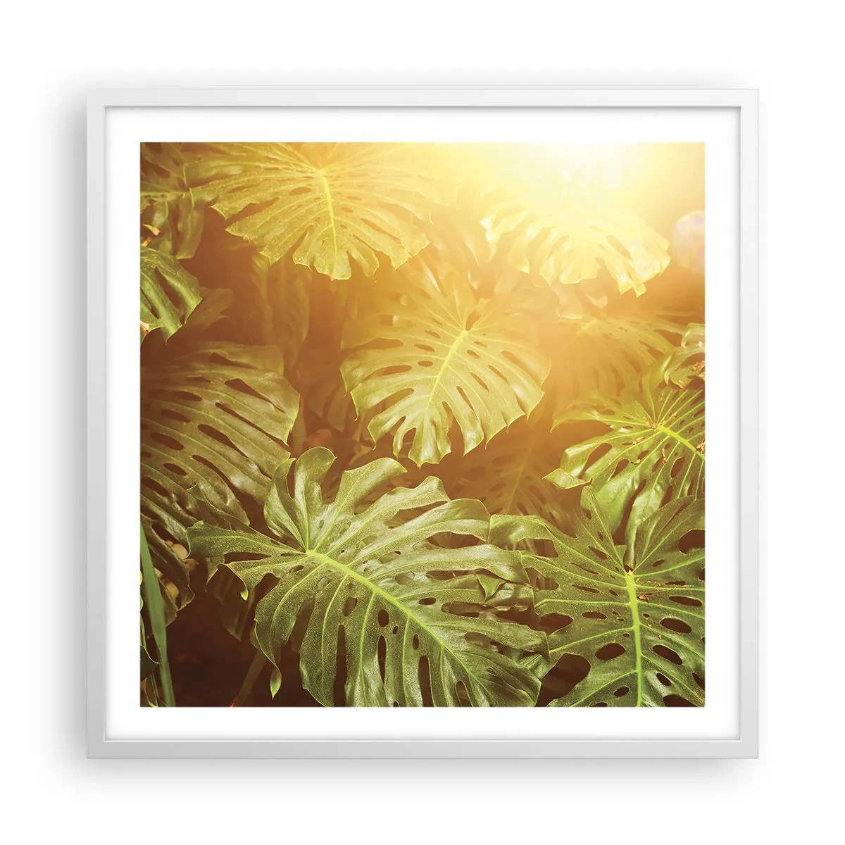 Poster în ramă albă - Poftiți în verde - 60x60 cm