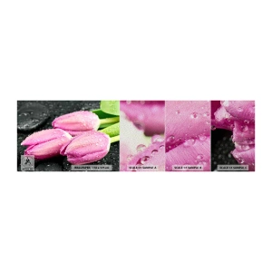 Mostră tapet Premium Sand - Pe piatră neagră - Flori, Lalele, Buchet de flori - 100x30 cm
