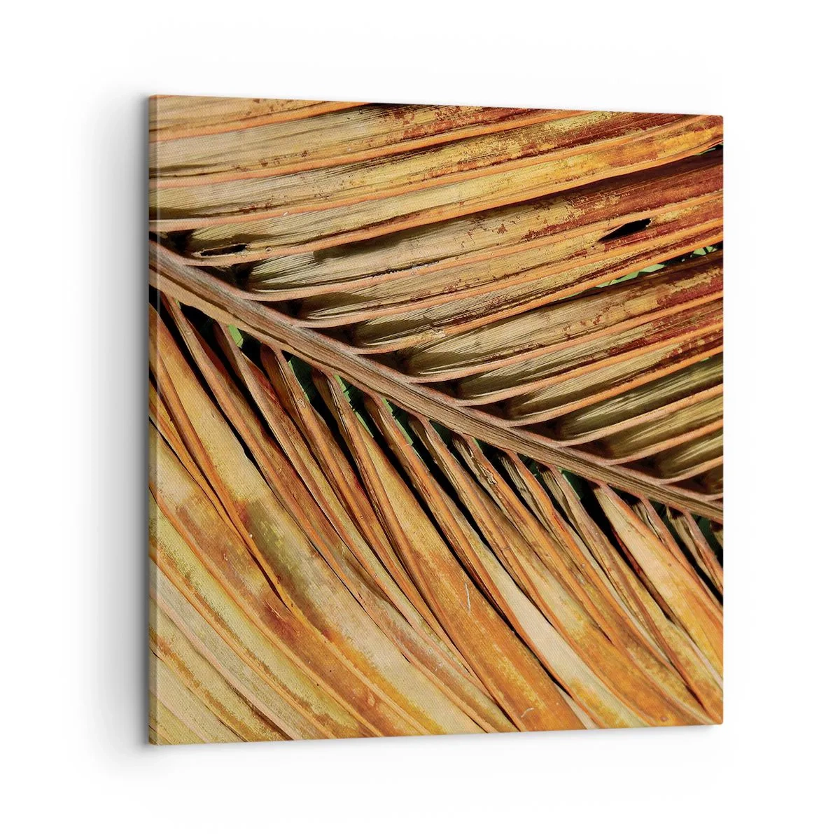 Tablou pe pânză - Aur de nucă de cocos - 60x60 cm