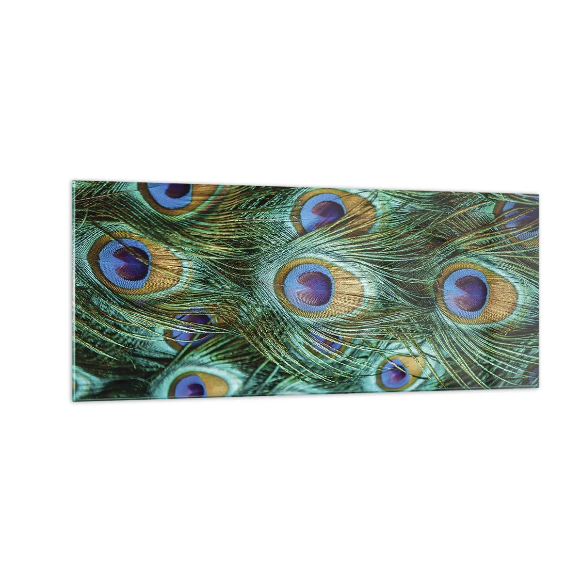 Tablou pe sticlă - O privire cu ochi de păun - 100x40 cm