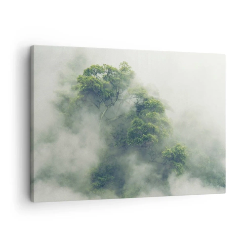 Tablou pe pânză Canvas - Copaci verzi în ceață densă pe un fundal natural - 70x50cm - Înfășurate în ceață - Decorațiune modernă pentru perete pentru living și dormitor ARTTOR