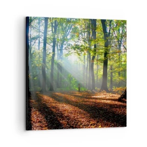 Tablou pe pânză - Străluciri și umbre - 50x50 cm