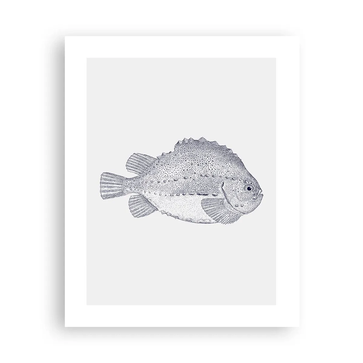 Poster - Pentru albumul naturalistului - 40x50 cm