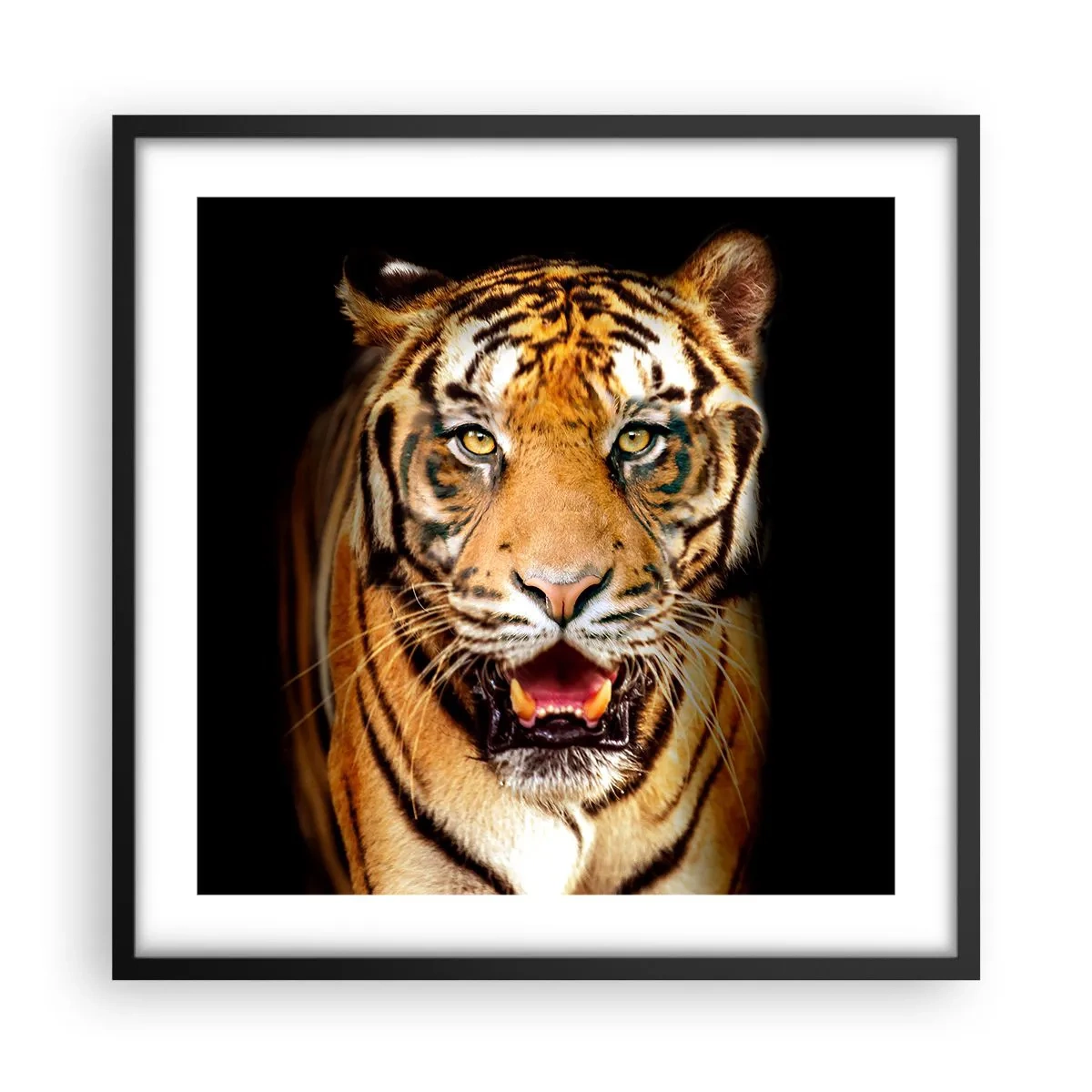 Poster în ramă neagră - Sălbăticia inimii - 50x50 cm