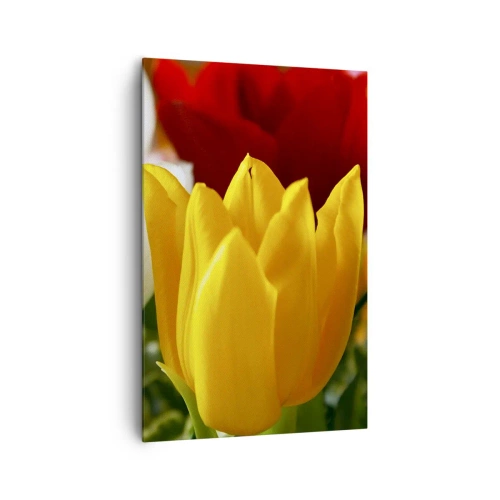 Tablou pe pânză - Goana după lalele - 80x120 cm