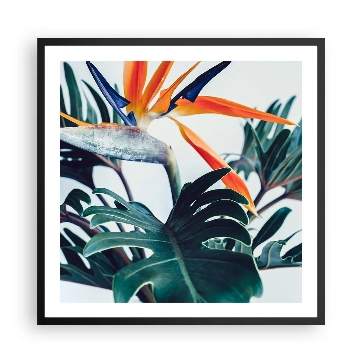 Poster în ramă neagră - Tufiș sau pasăre? - 60x60 cm