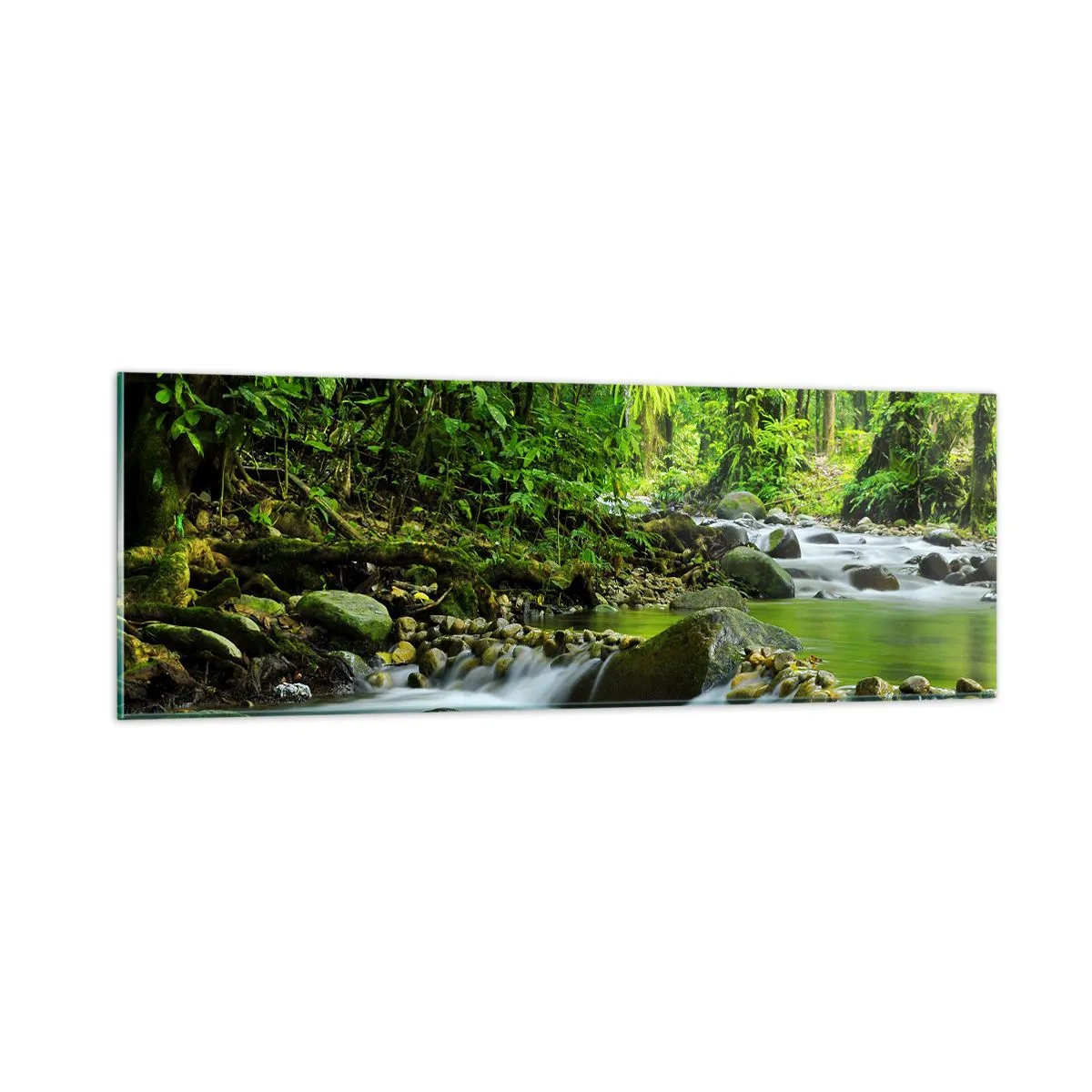 Tablou pe sticlă - Să înotăm într-o mare de verde - 90x30 cm