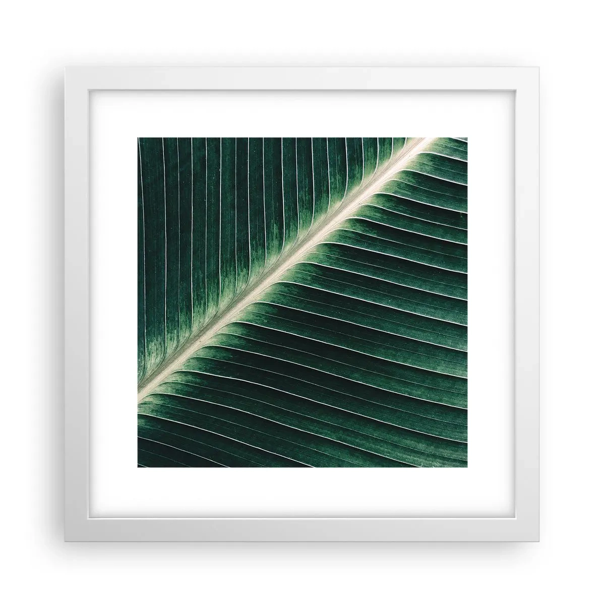 Poster în ramă albă - Ritmul naturii - 30x30 cm