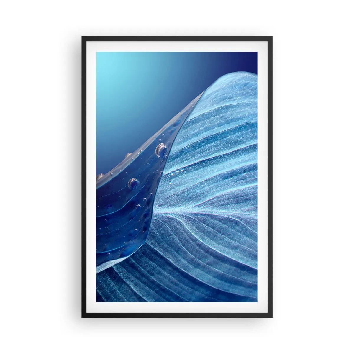 Poster în ramă neagră - Picături ascunse de albastru - 61x91 cm