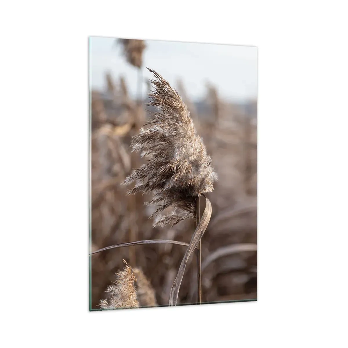 Tablou pe sticlă - E timpul să zbori cu vântul - 80x120 cm