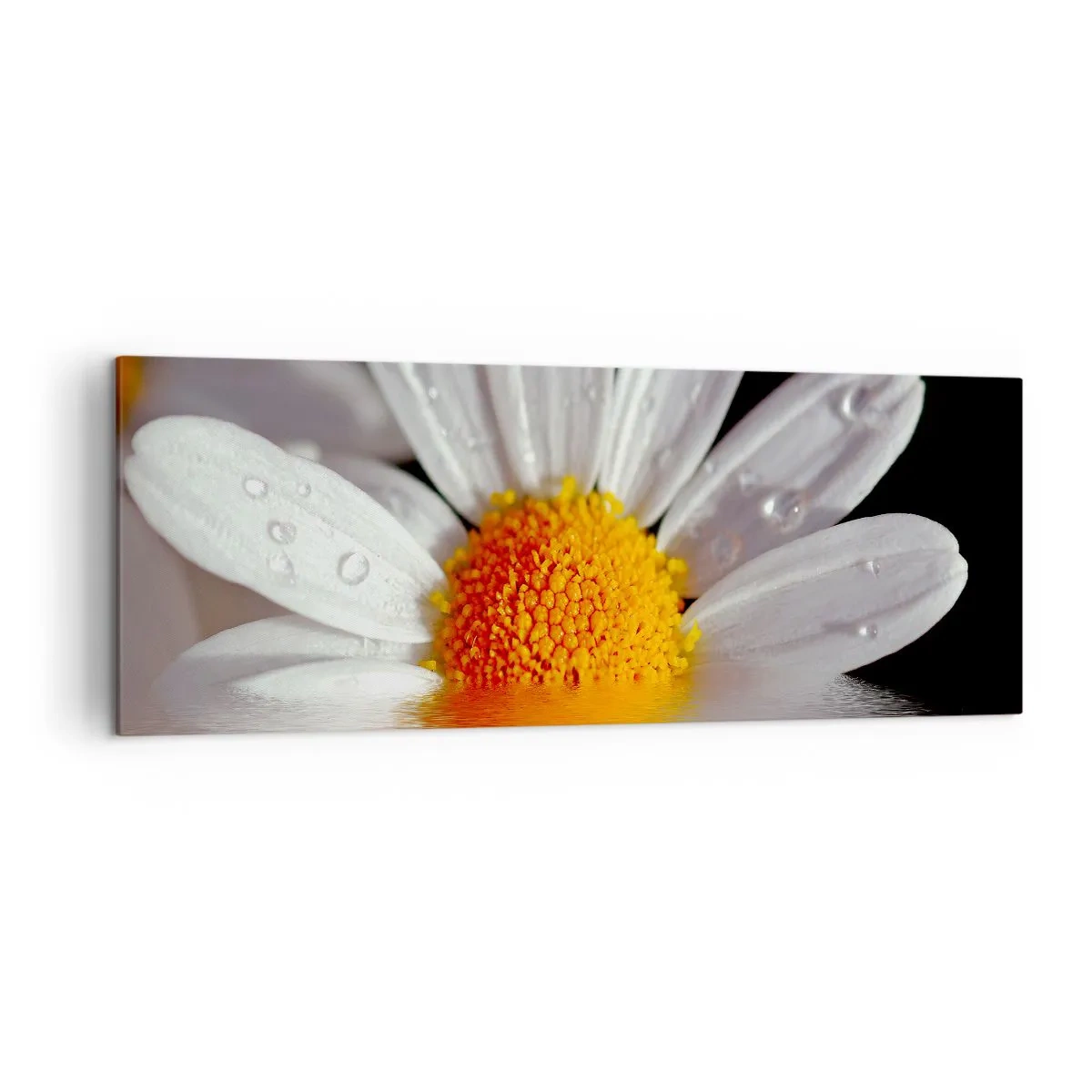 Tablou pe pânză - Răsăritul soarelui al Margaretei - 140x50 cm
