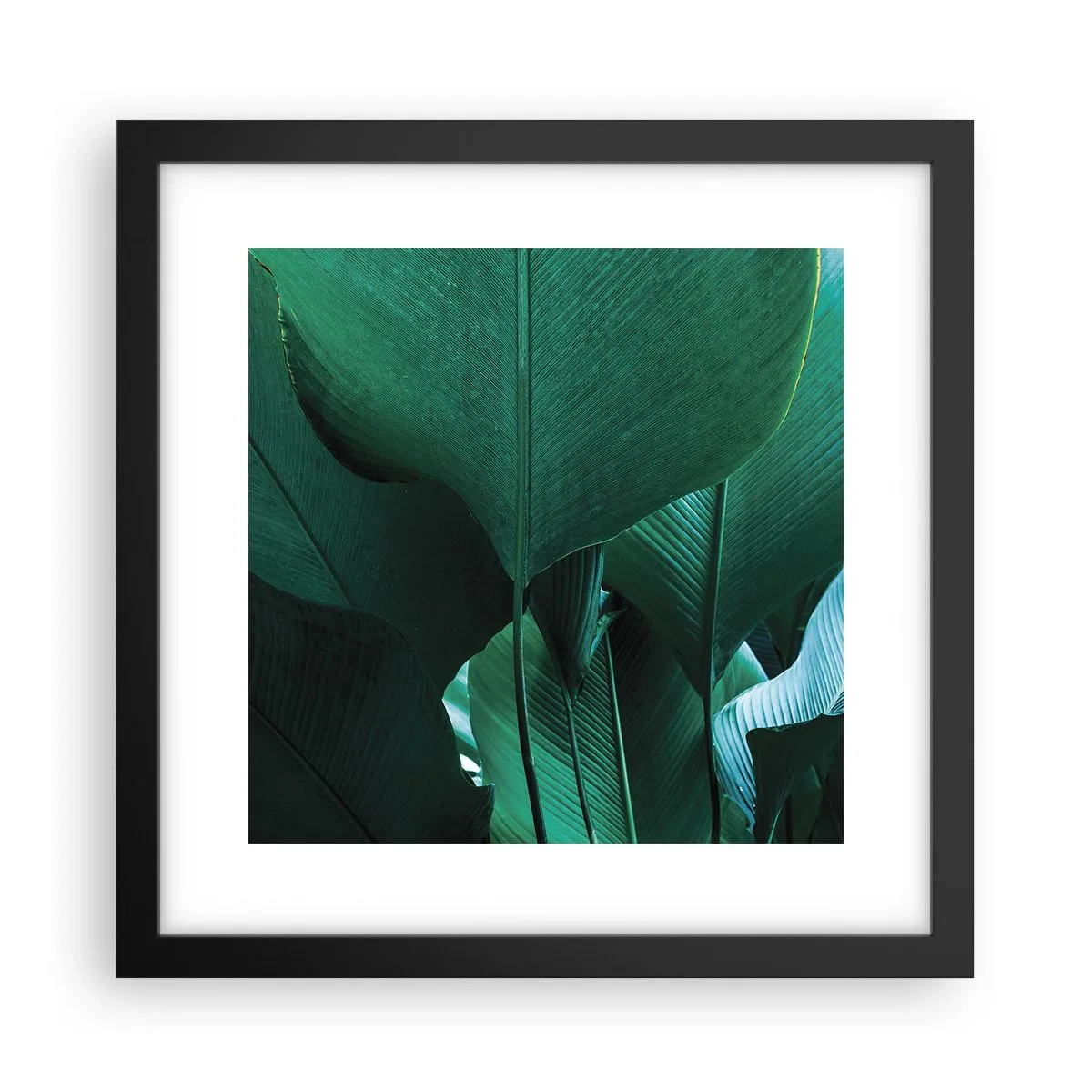 Poster în ramă neagră - Cu frunza la lumină - 30x30 cm