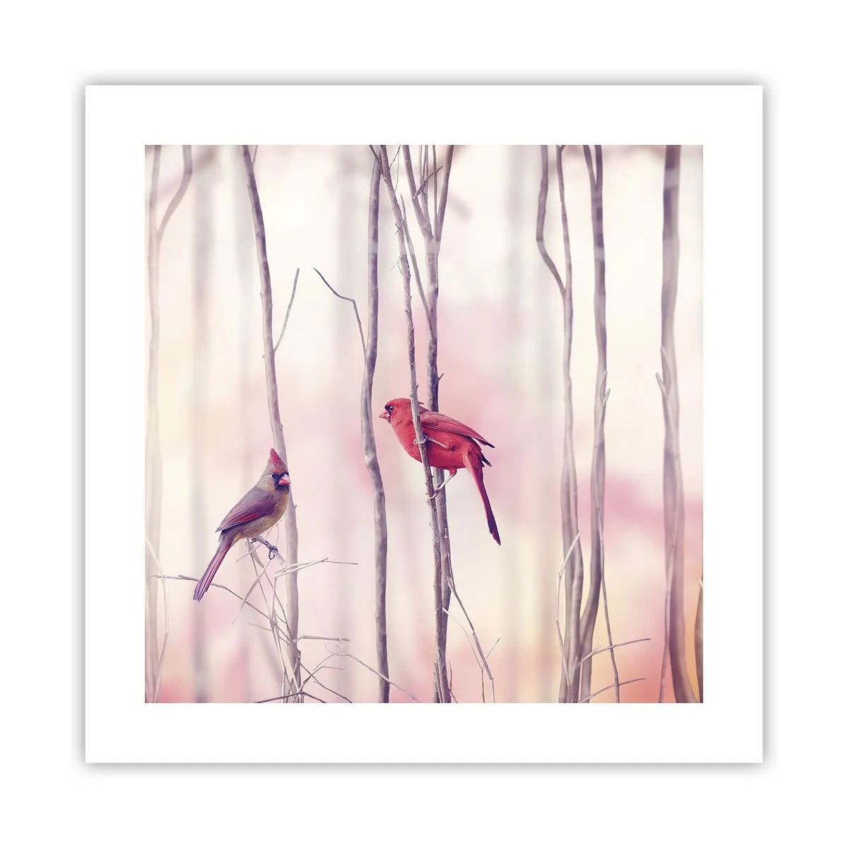 Poster - O poveste din Pădurea Roz - 40x40 cm