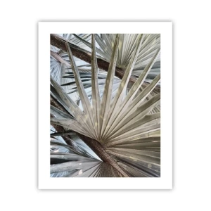 Poster - Evantaie din tropice - 40x50 cm