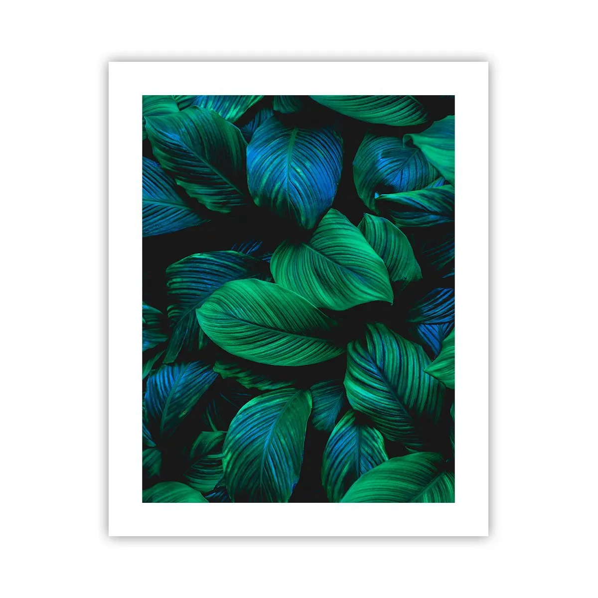 Poster - Traficul verde - 40x50 cm