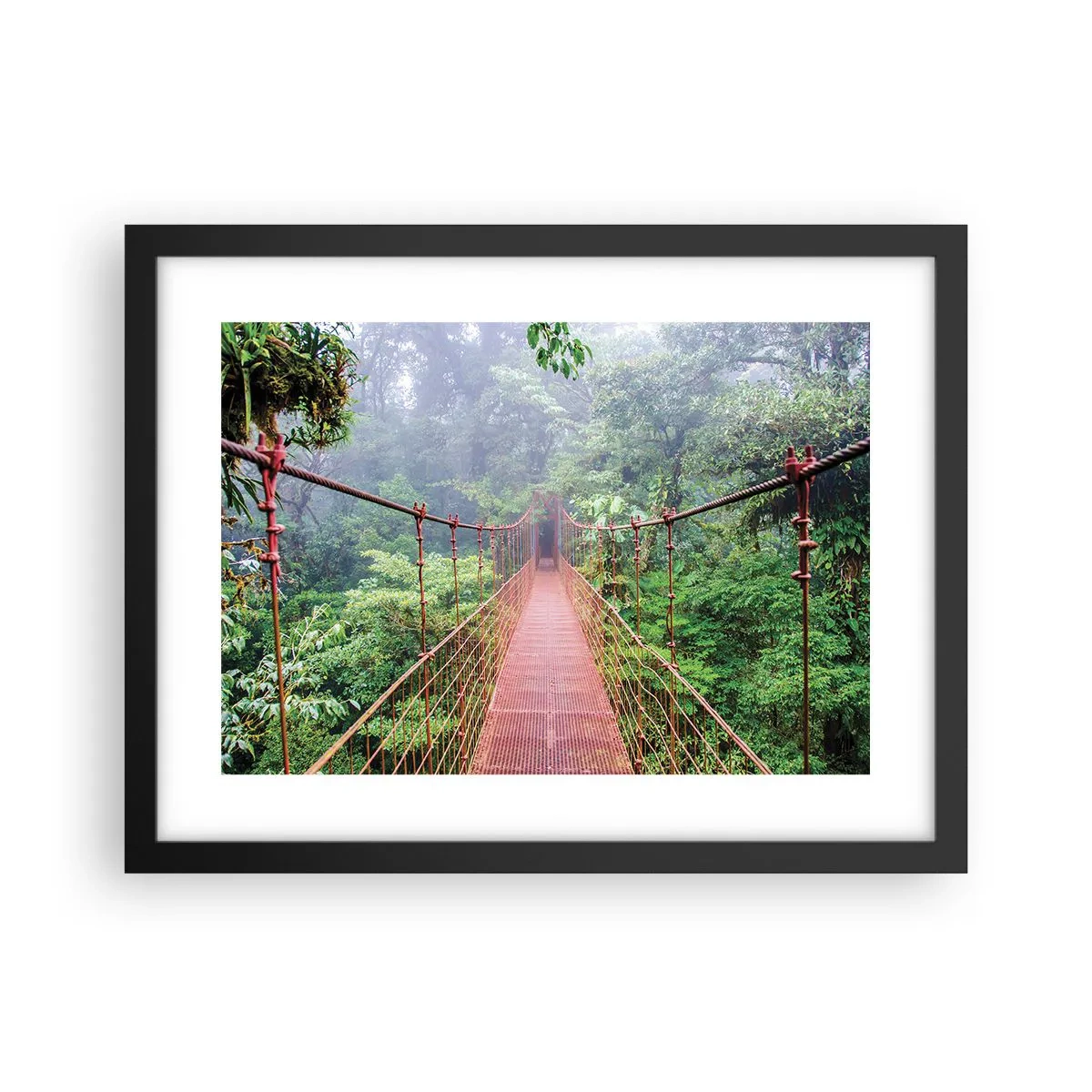 Poster în ramă neagră - Suspendat deasupra coroanelor arborilor - 40x30 cm